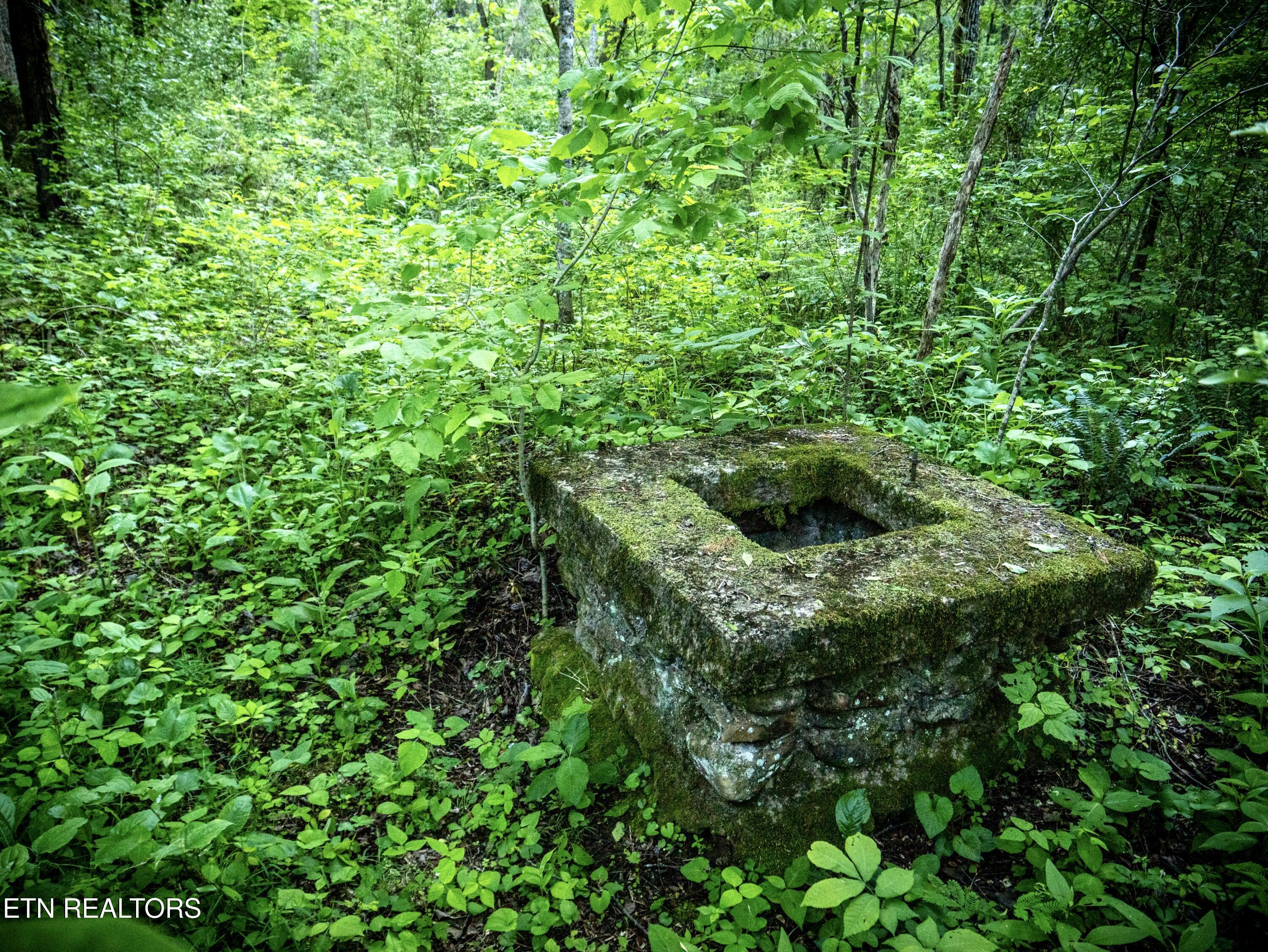 main property photo 26