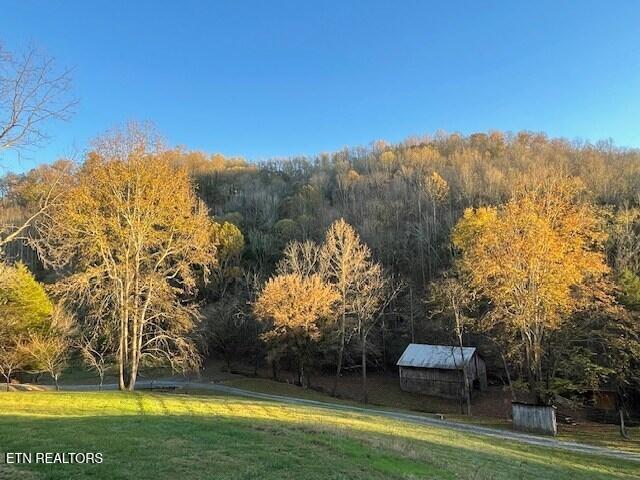main property photo 32