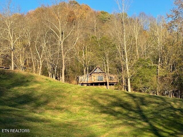 main property photo 4