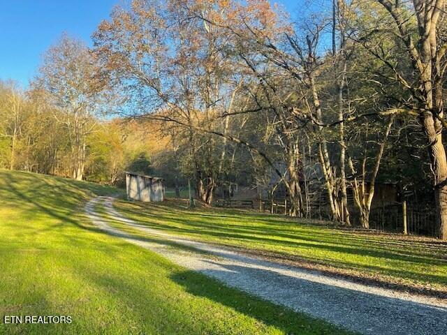 main property photo 43