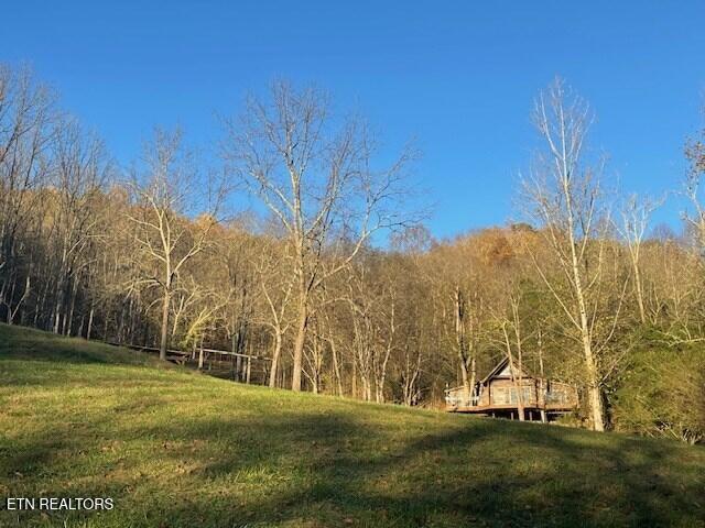 main property photo 44