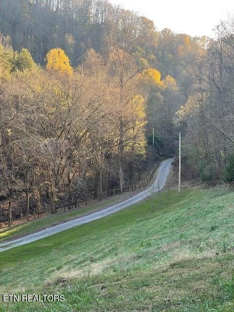 main property photo 46