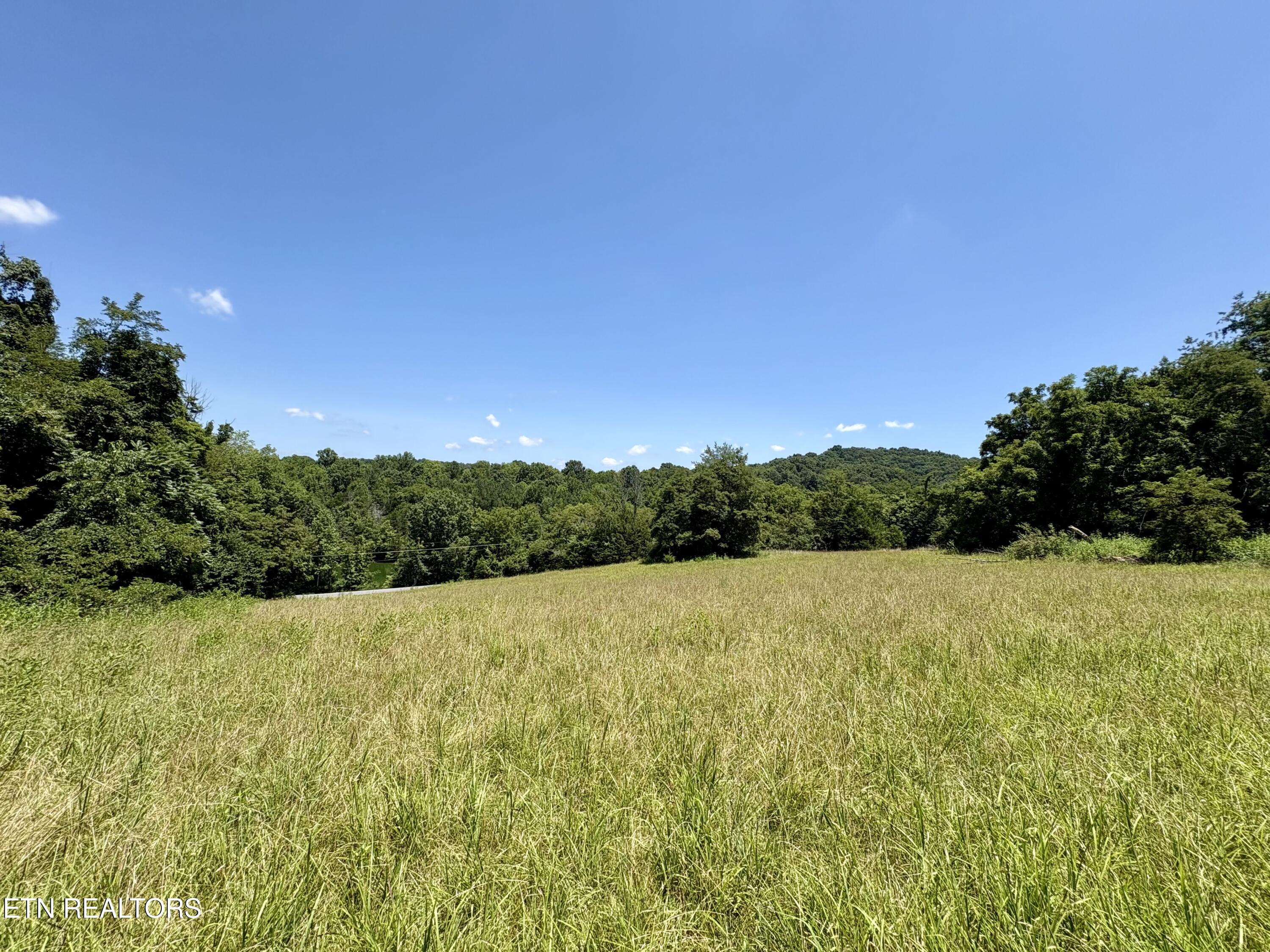 main property photo 44