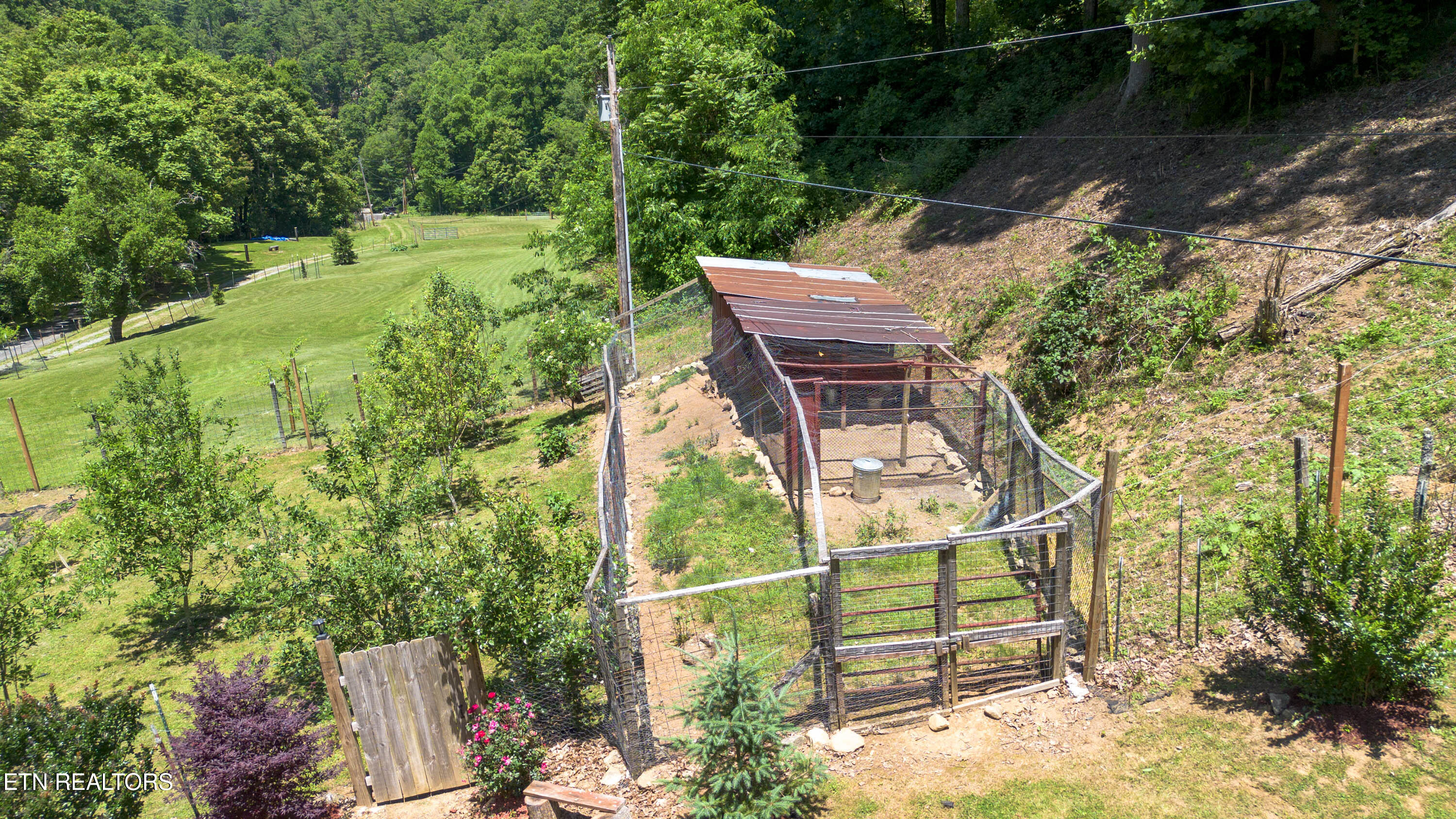 main property photo 53