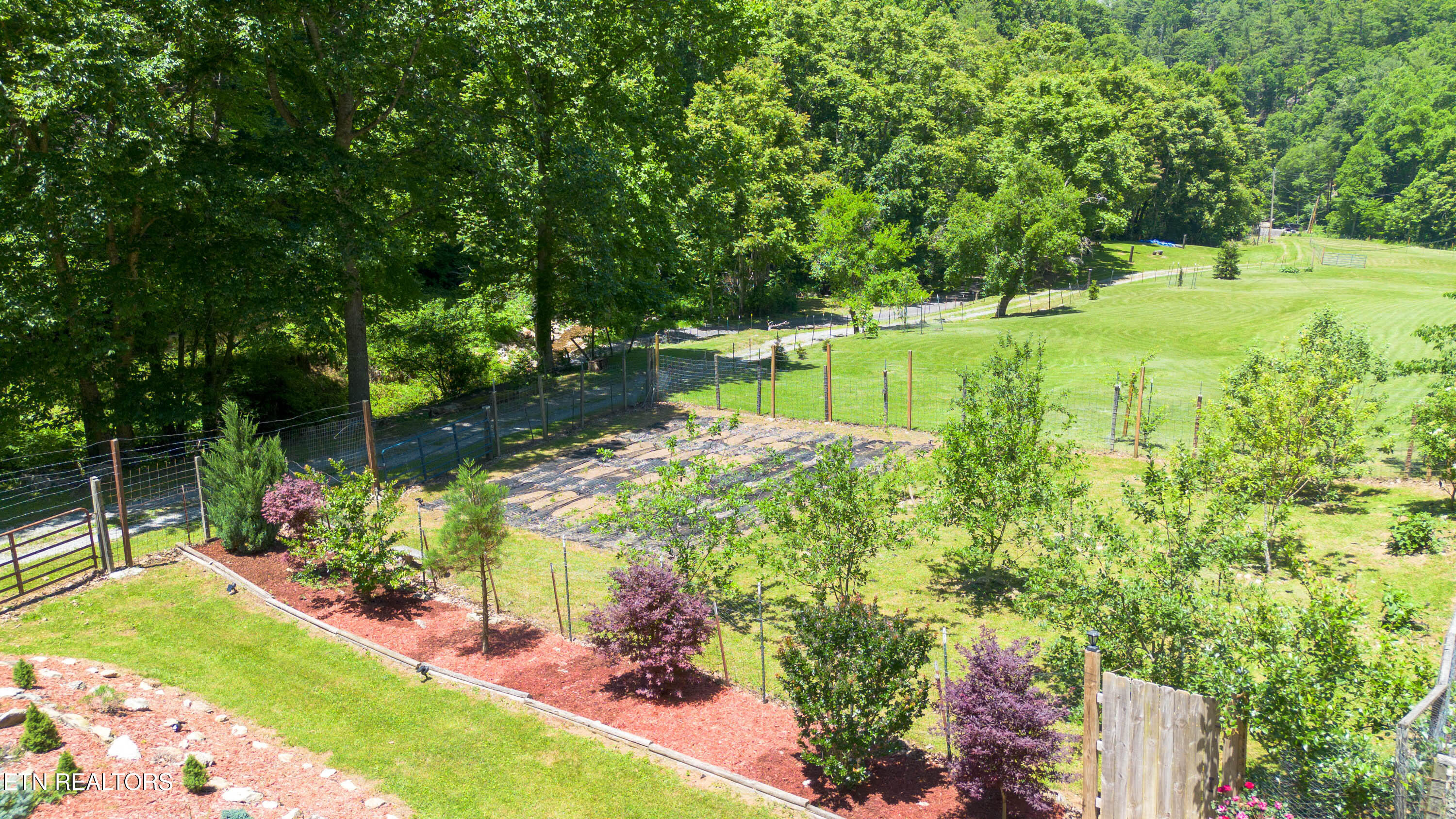 main property photo 54