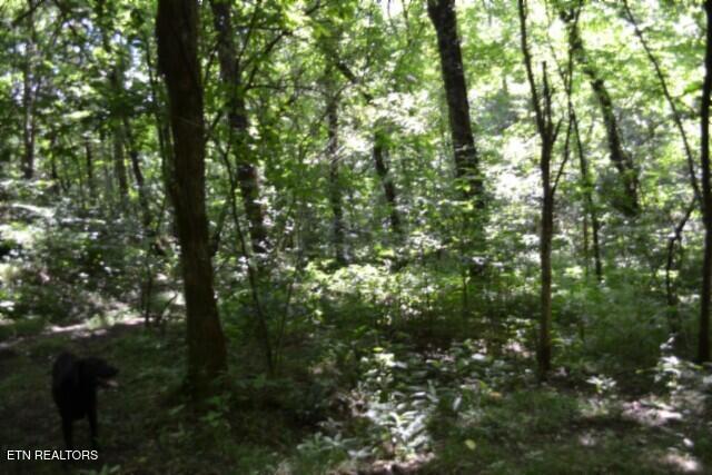 main property photo 34