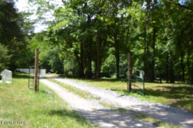 main property photo 42
