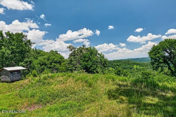 main property photo 33