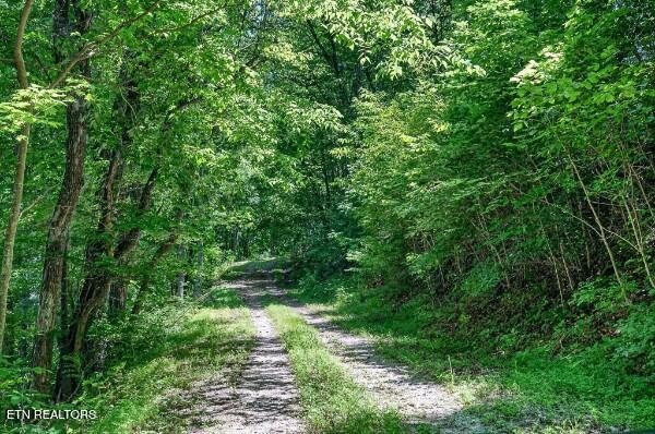 main property photo 39
