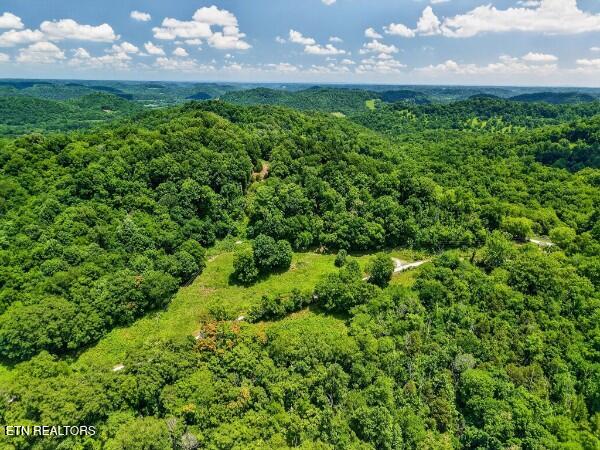 main property photo 44