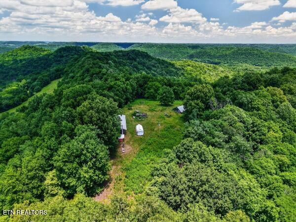 main property photo 48
