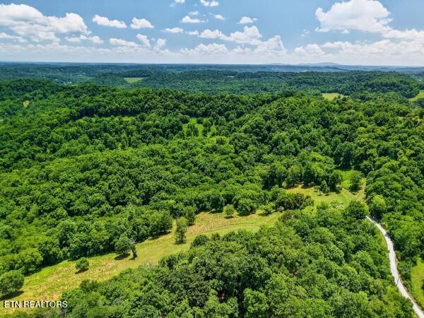 main property photo 49