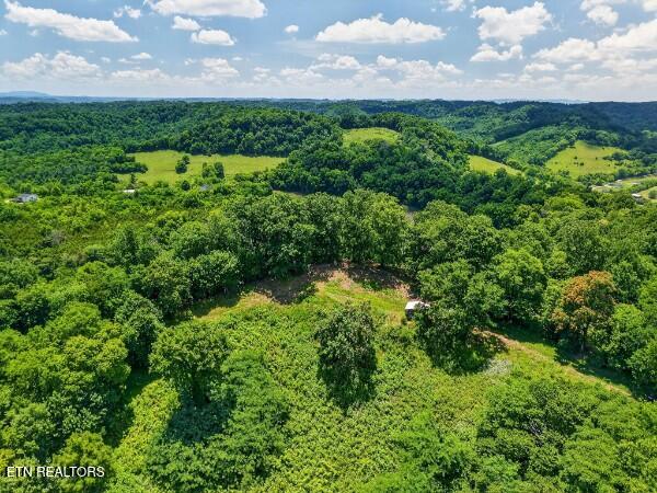 main property photo 51