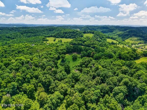 main property photo 52