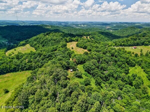 main property photo 53