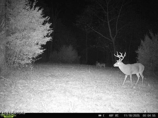 main property photo 58