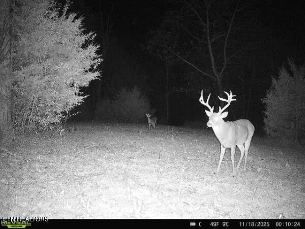 main property photo 59