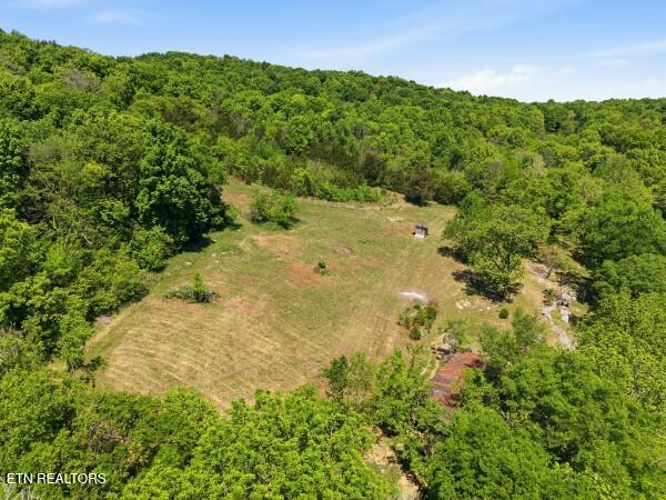 main property photo 32