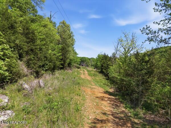 main property photo 33