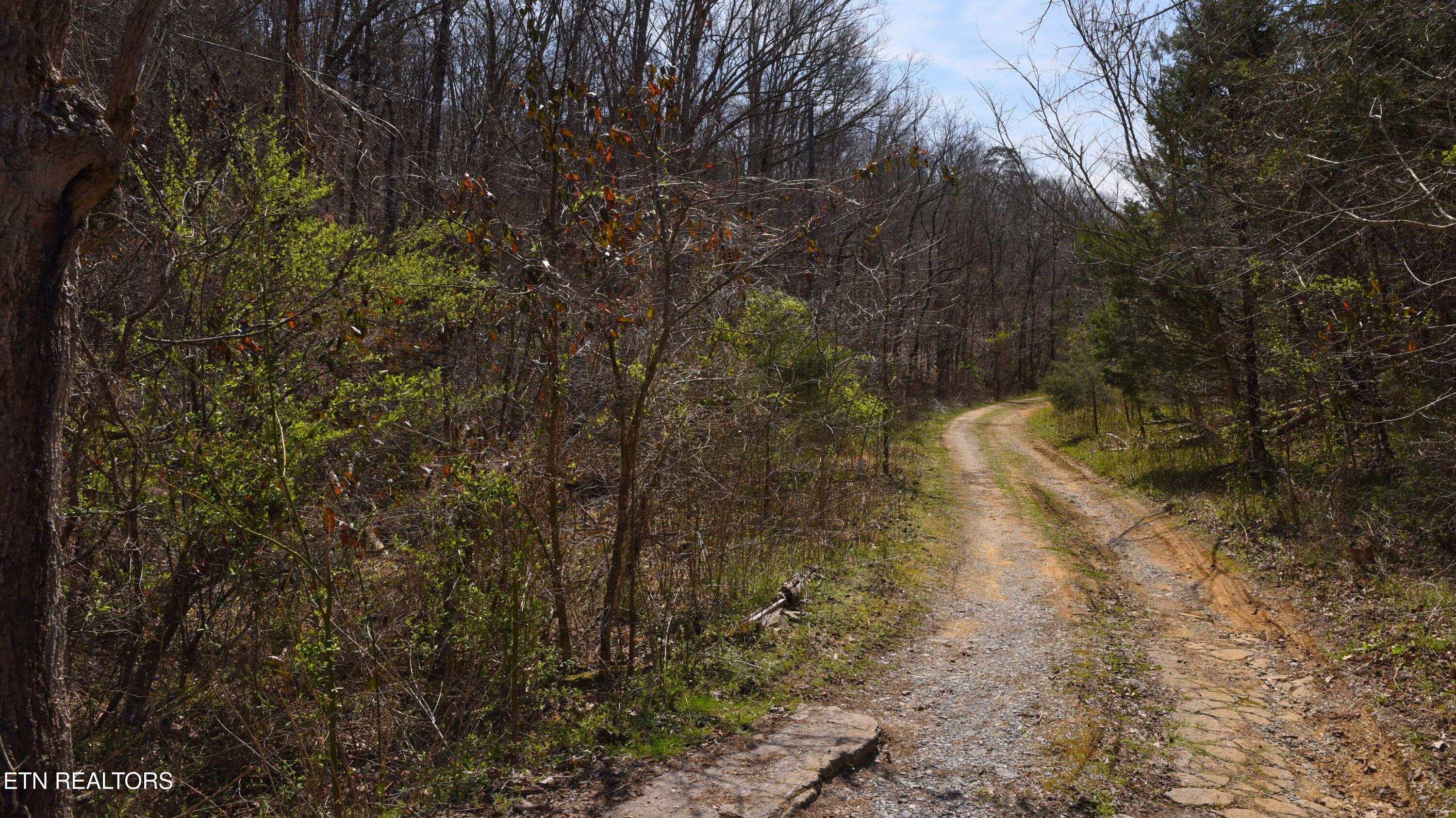 main property photo 11