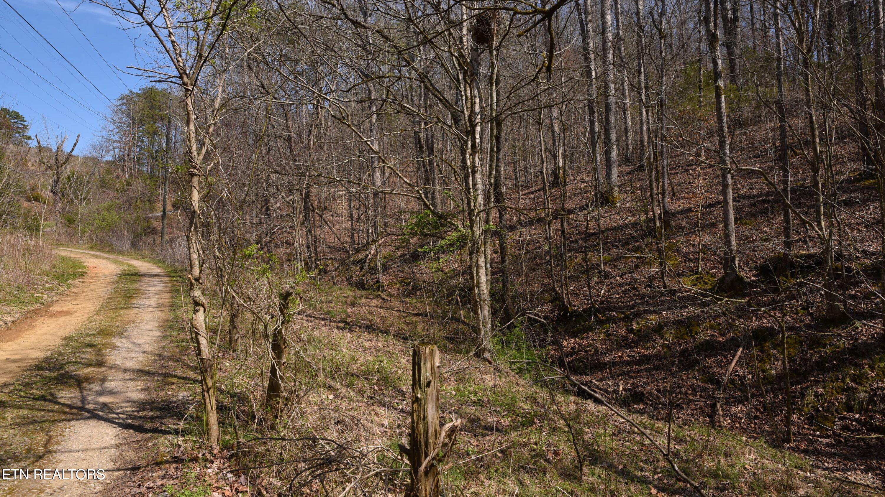 main property photo 8