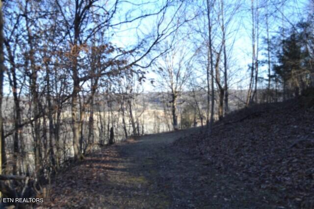 main property photo 10