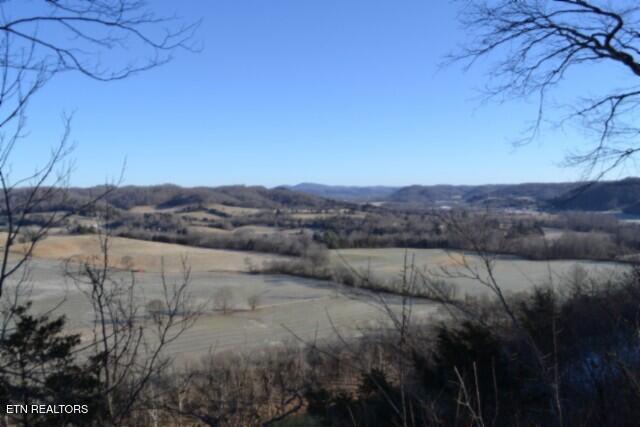 main property photo 19