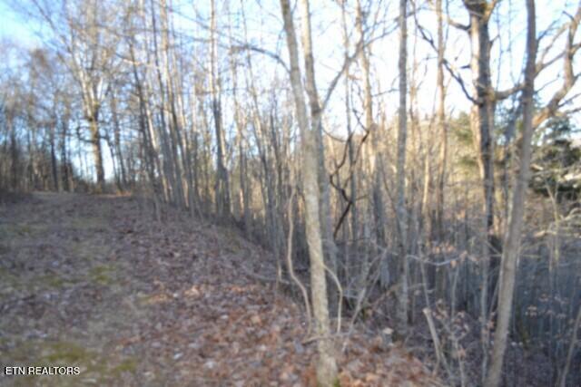 main property photo 31