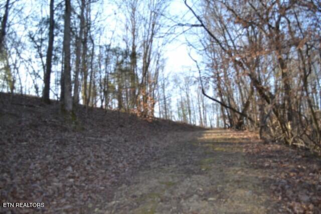 main property photo 34