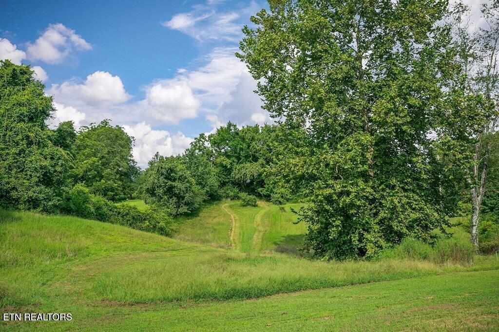 main property photo 43