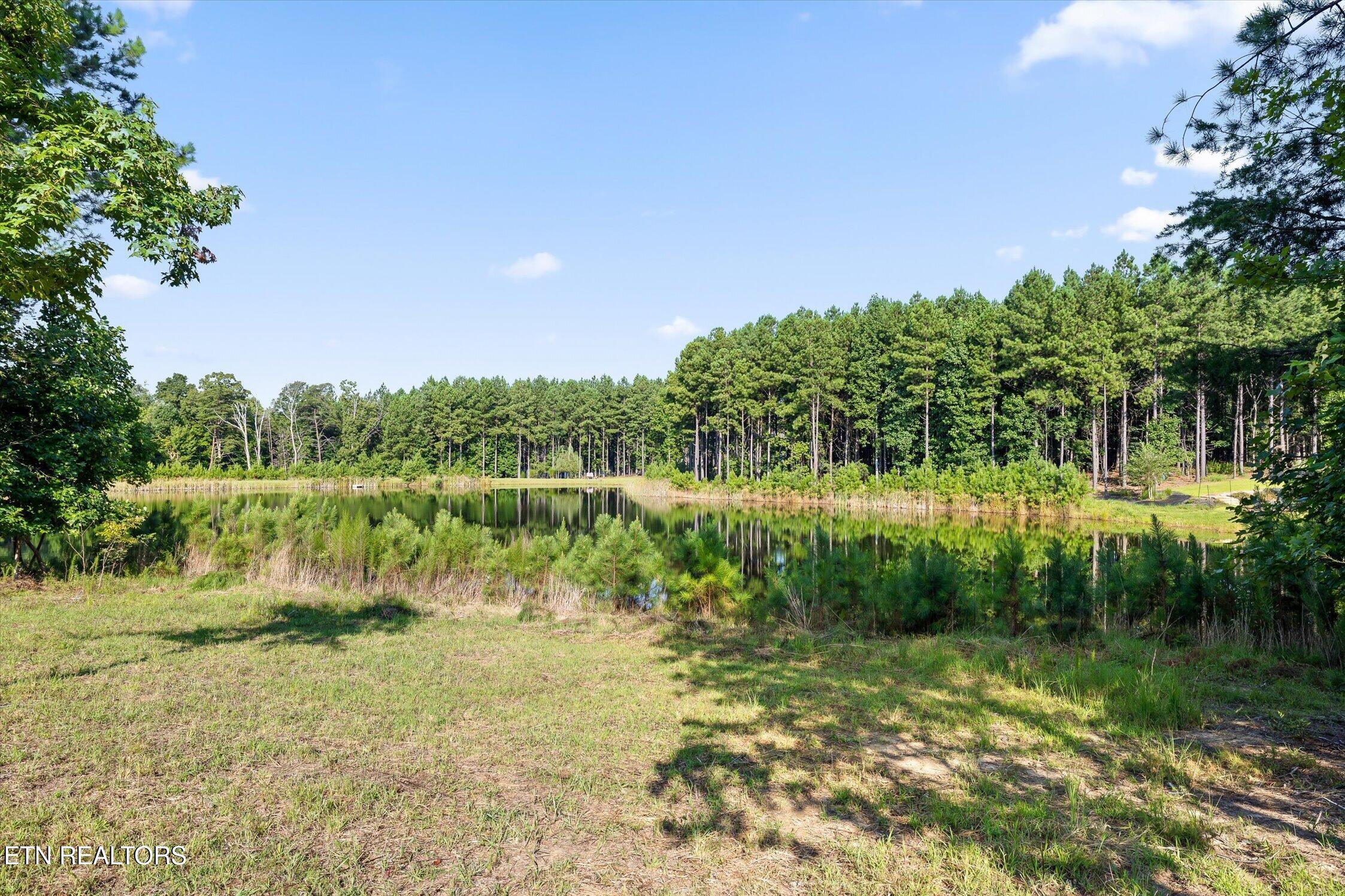main property photo 53