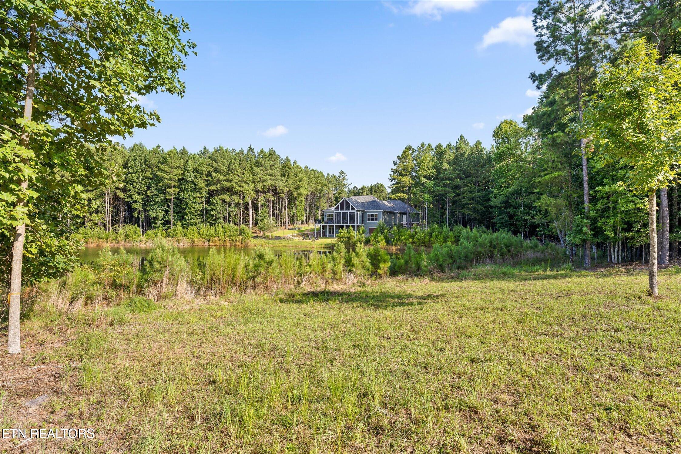 main property photo 54