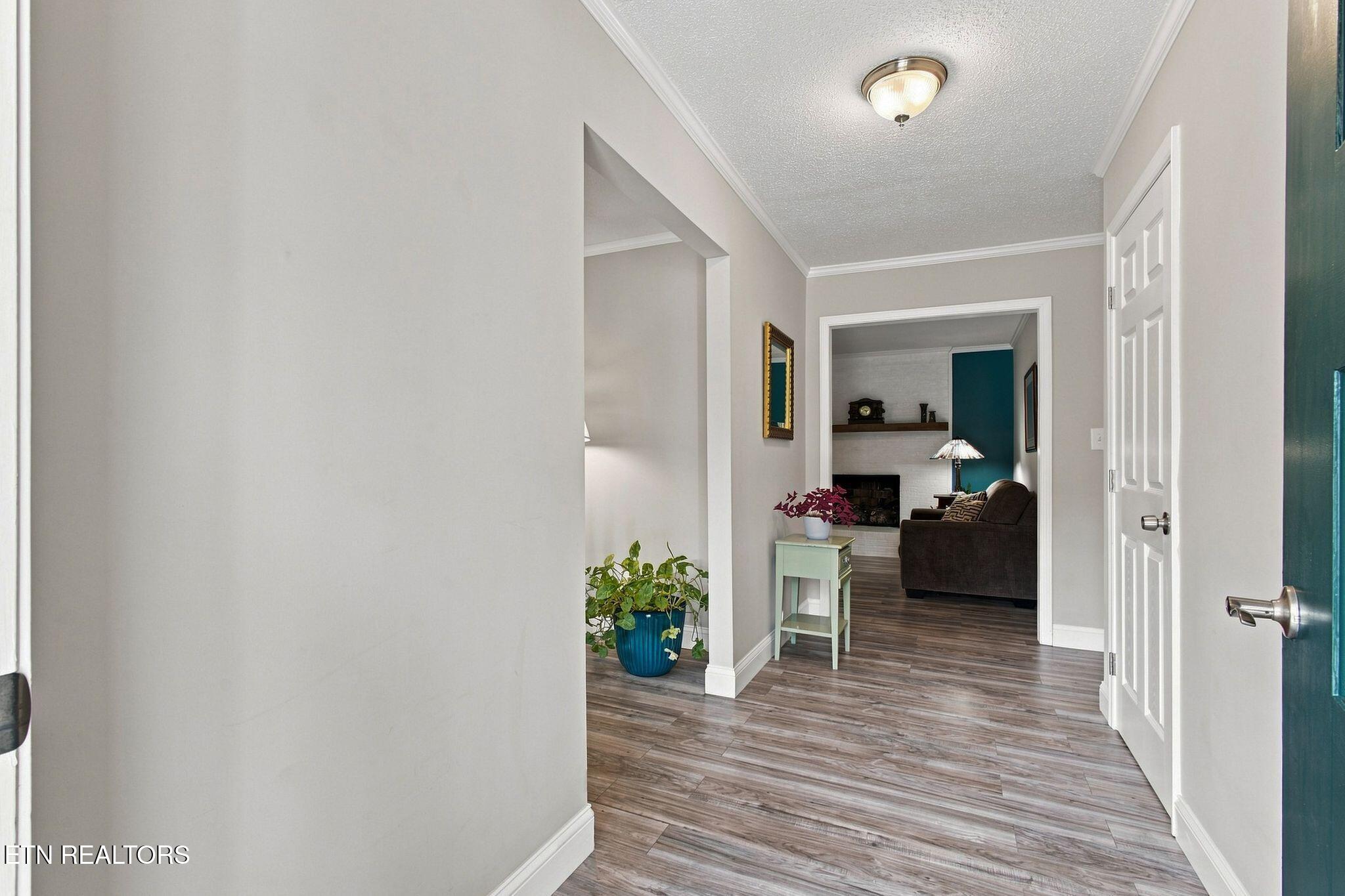 property viewer photo 4