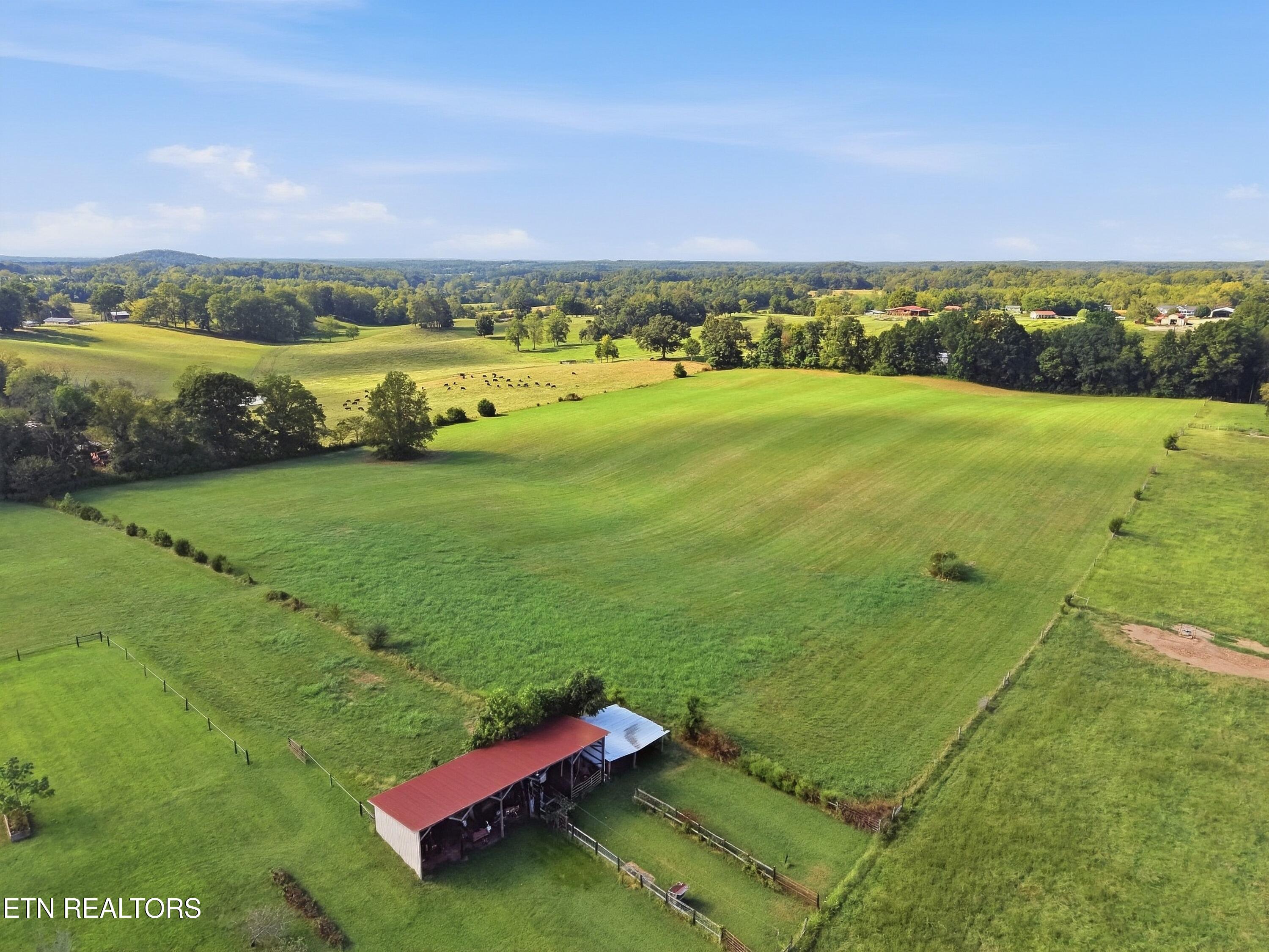 main property photo 46