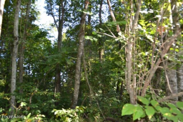 main property photo 10