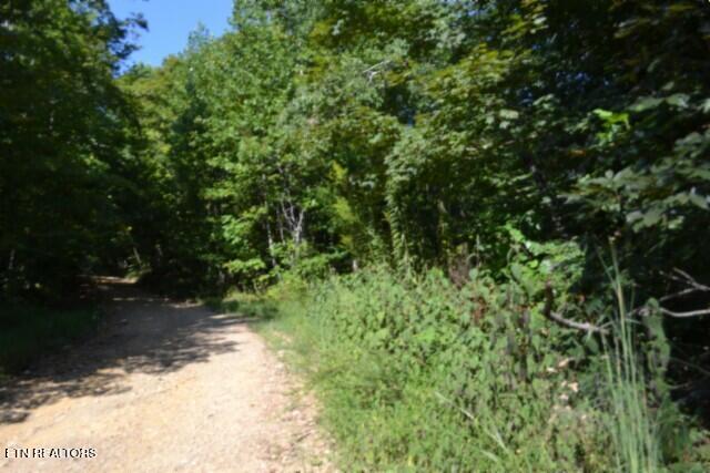 main property photo 18