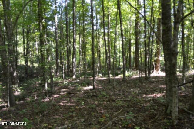 main property photo 24