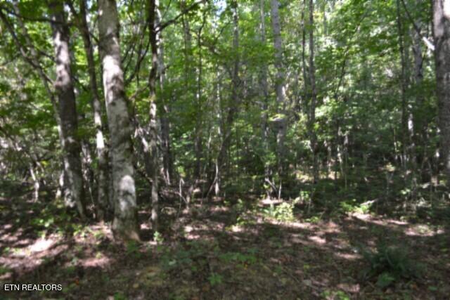 main property photo 25
