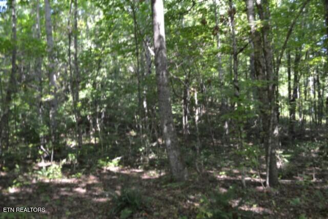 main property photo 26