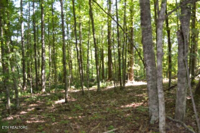 main property photo 31