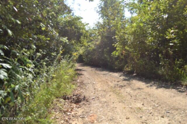main property photo 7