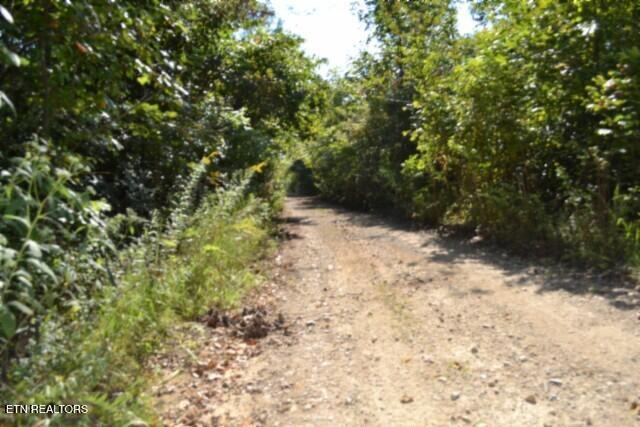 main property photo 8