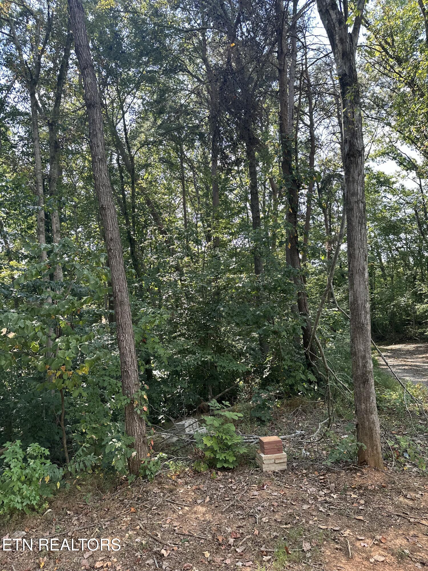 main property photo 23