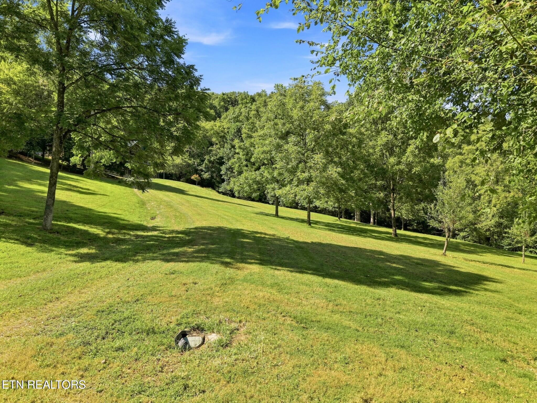 main property photo 52
