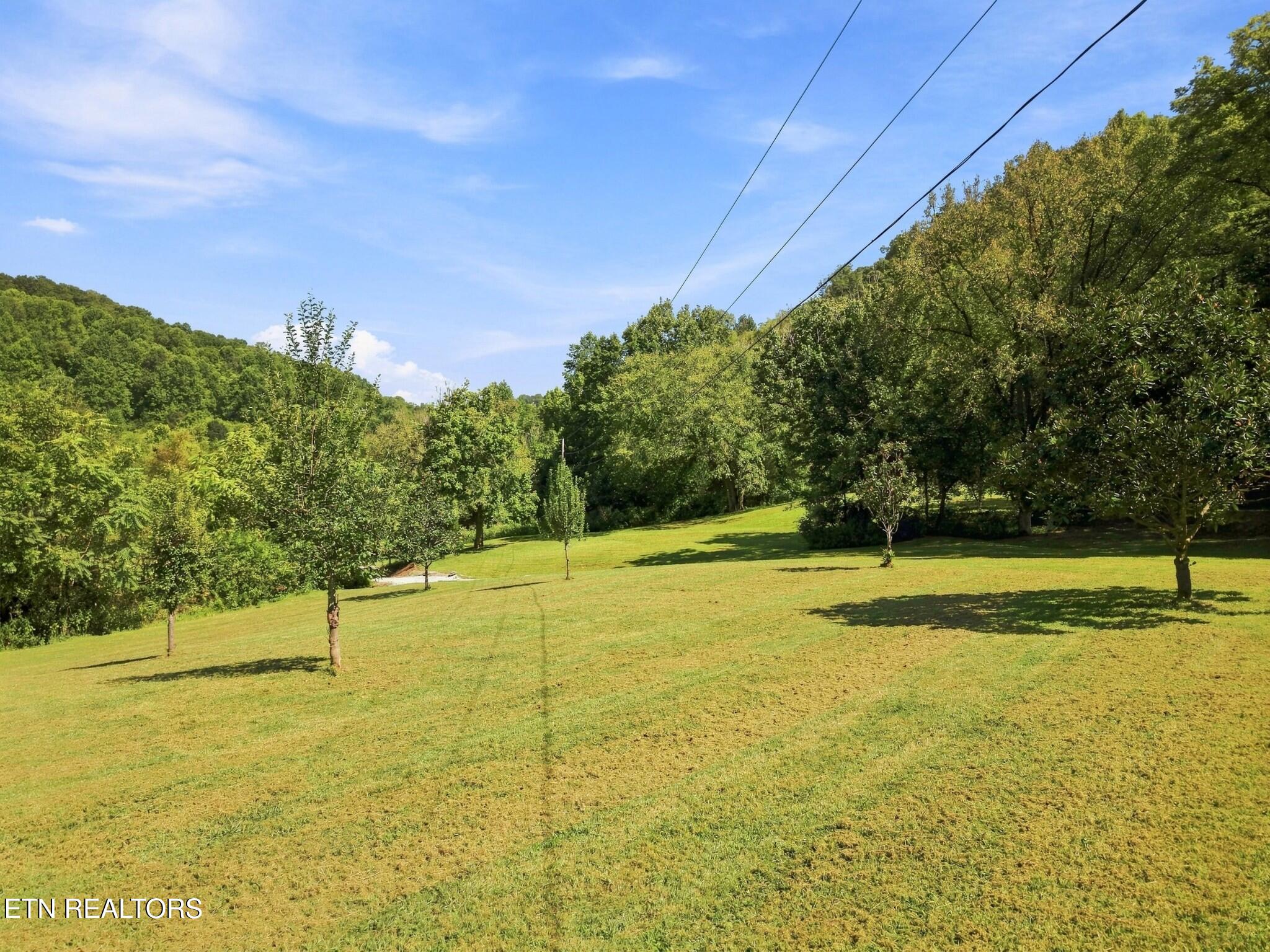 main property photo 56