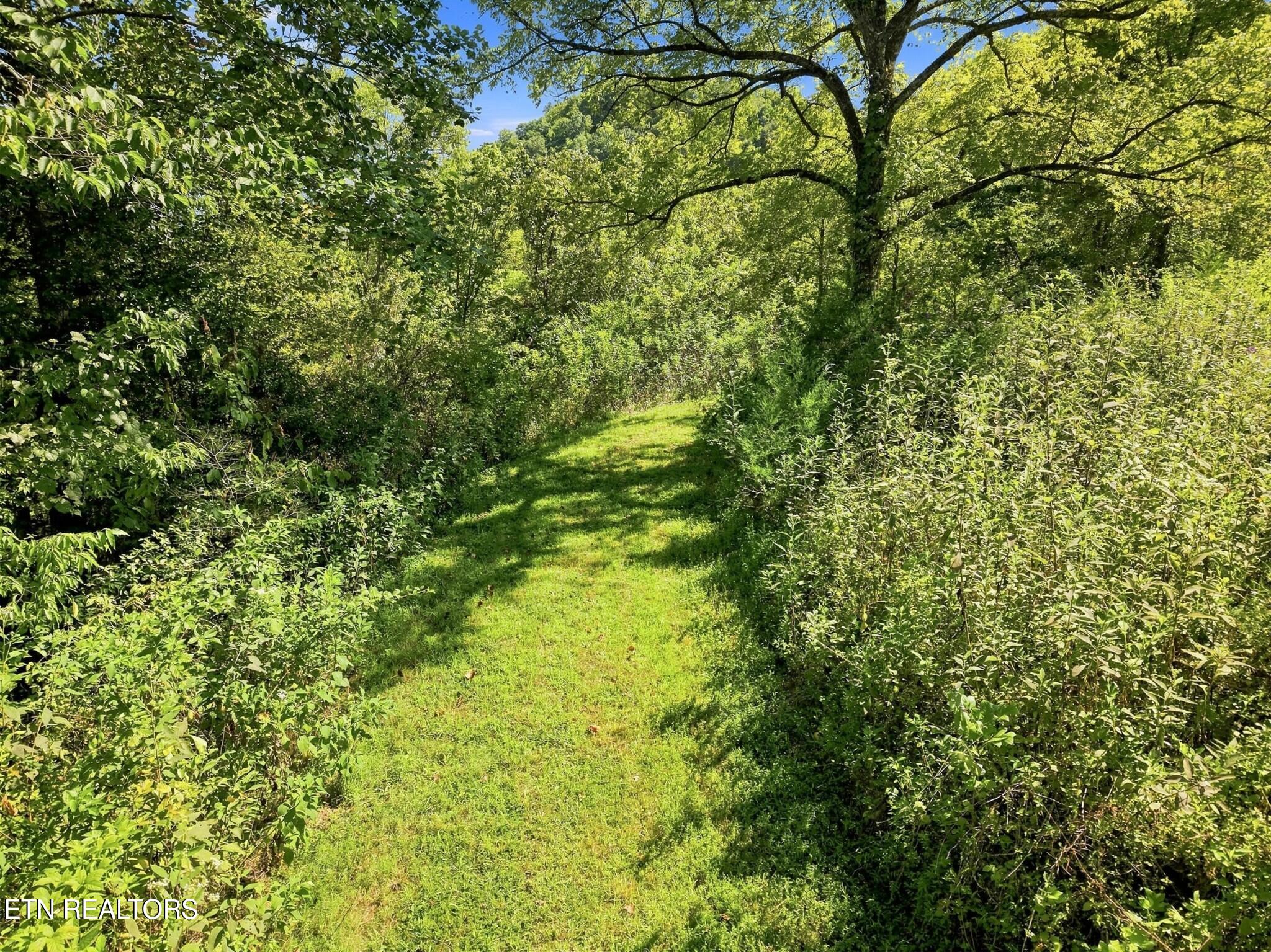 main property photo 57