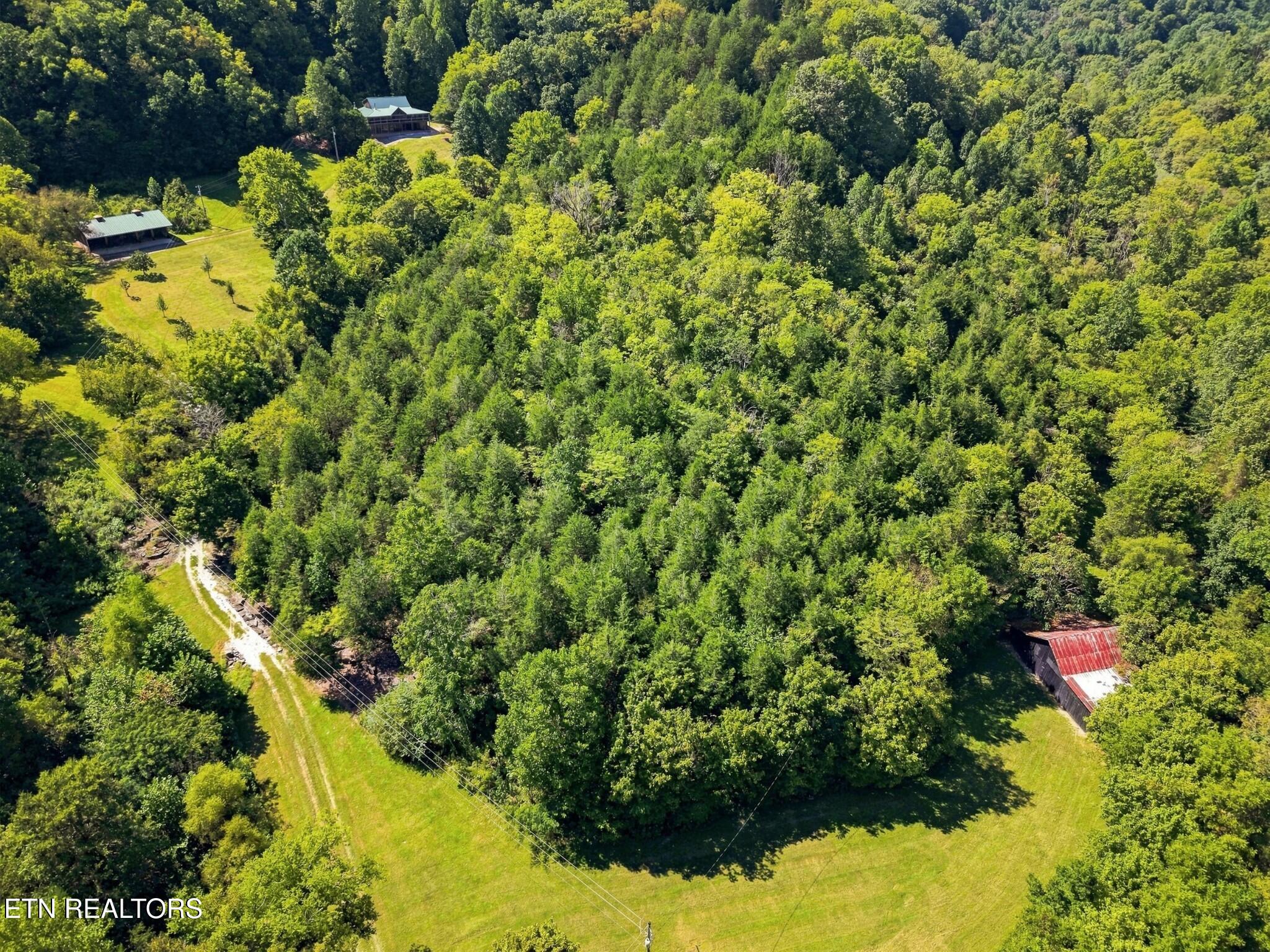 main property photo 58