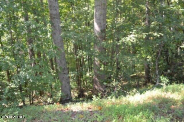 main property photo 11