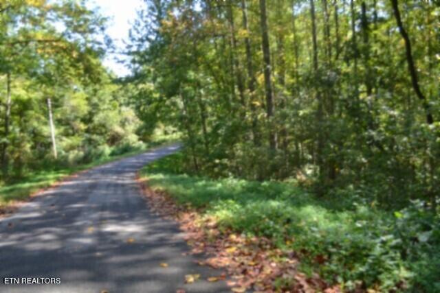 main property photo 16