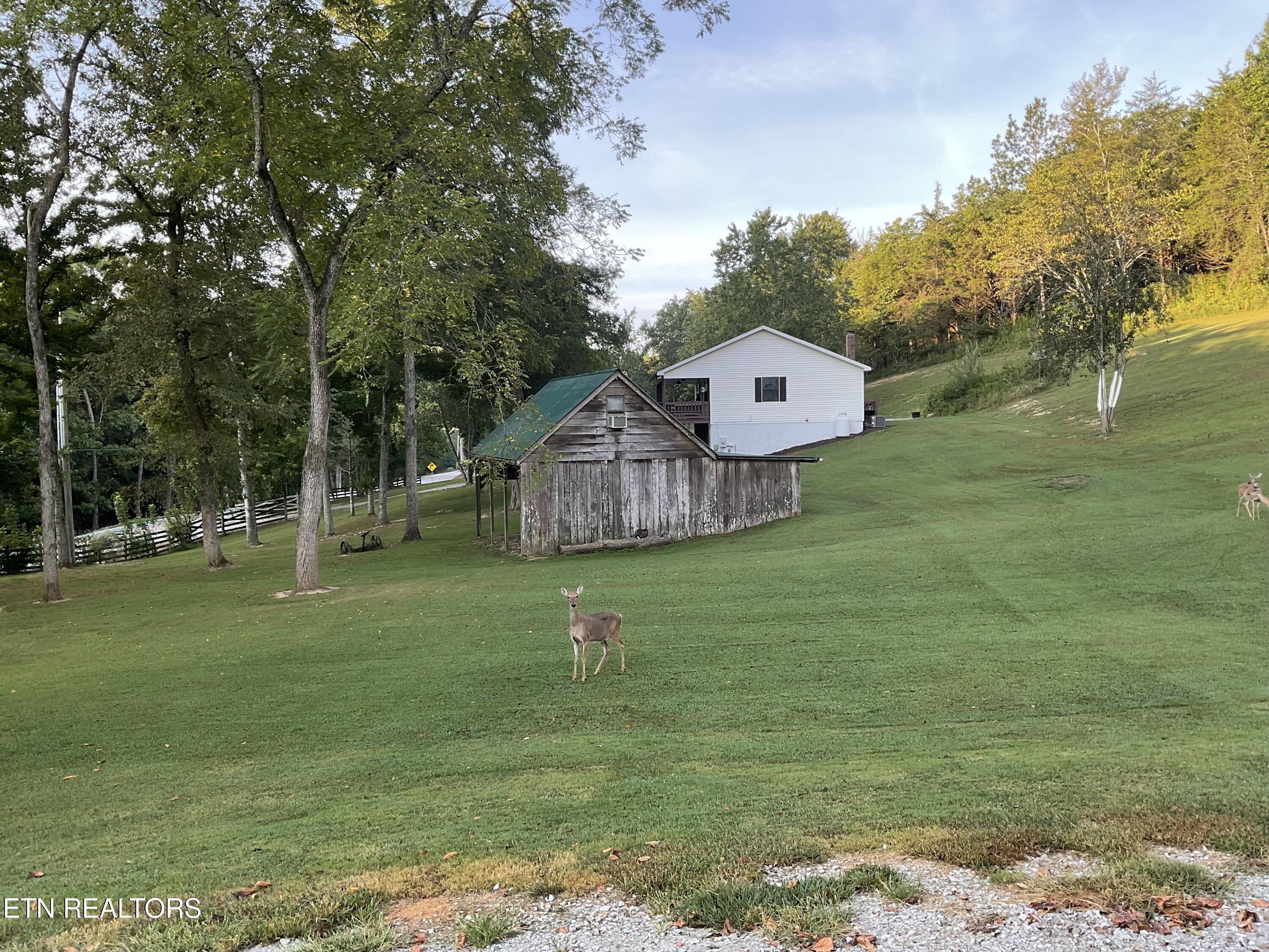 main property photo 6